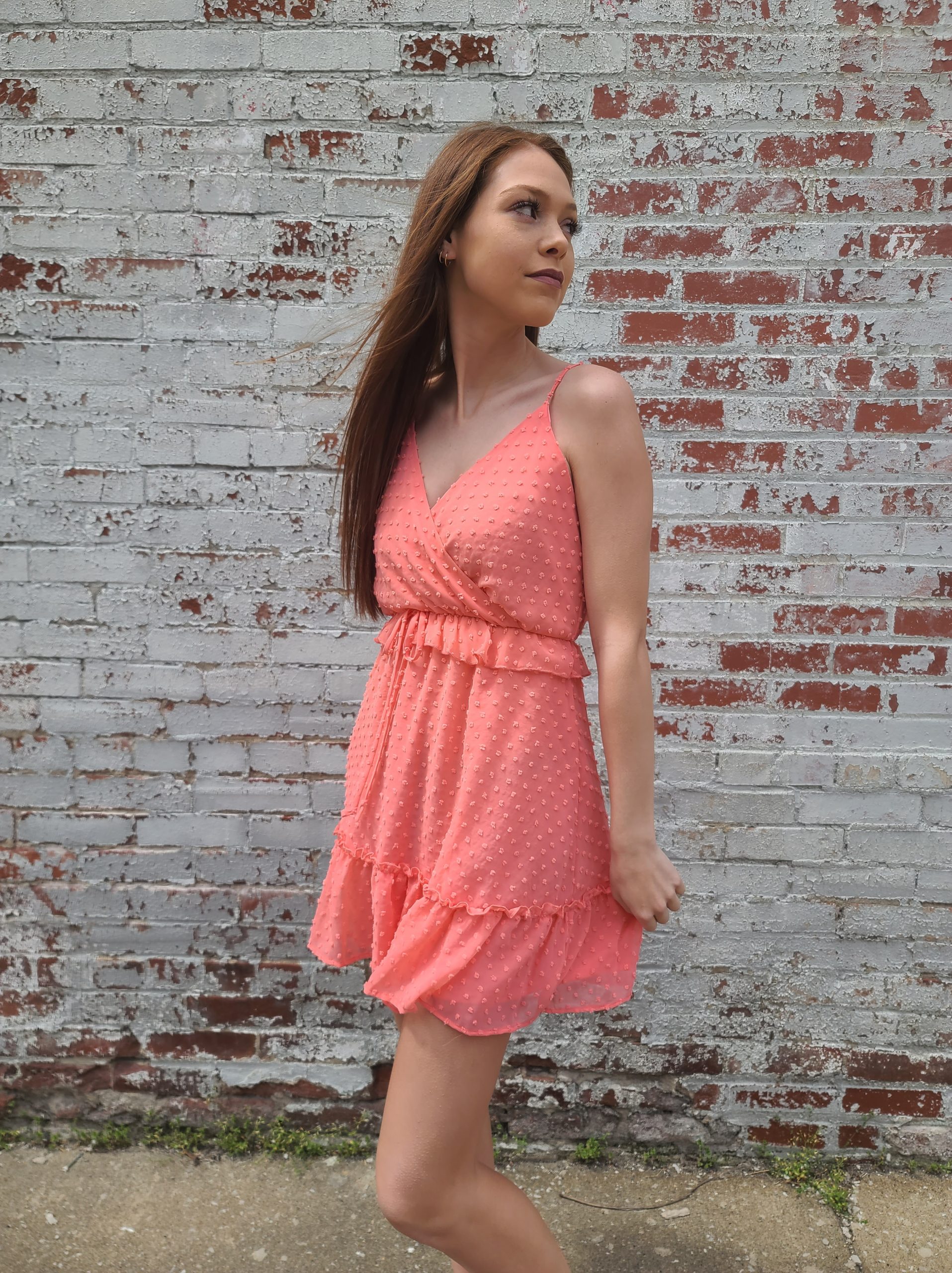 Arden dotted swiss ruffle mini dress - Image 2