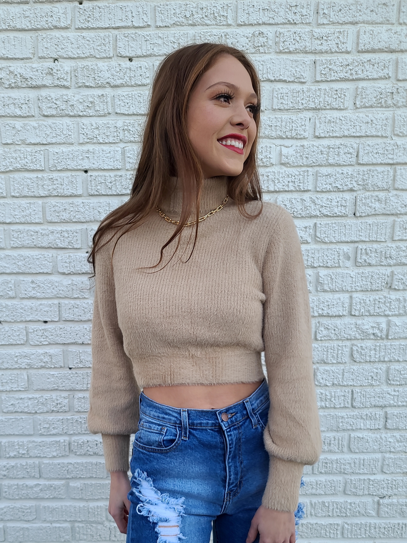 Reese turtleneck crop sweater